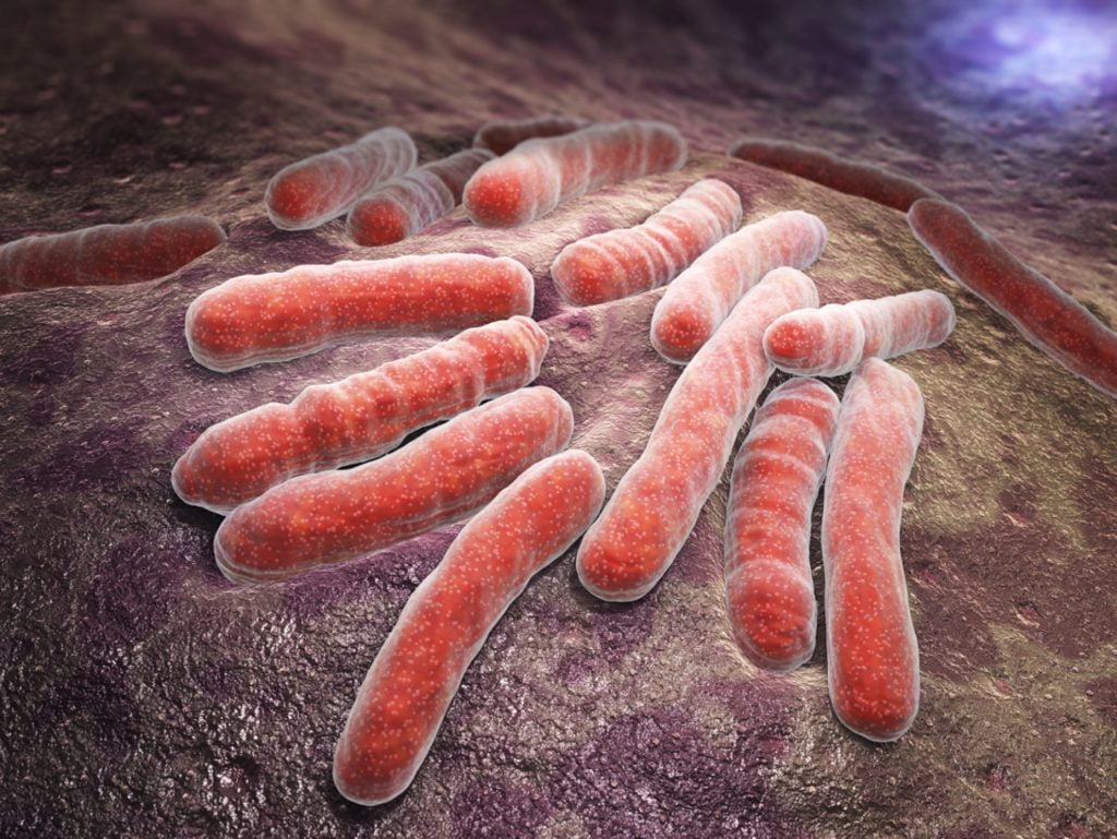La Tuberculosis - React Spain Magazine